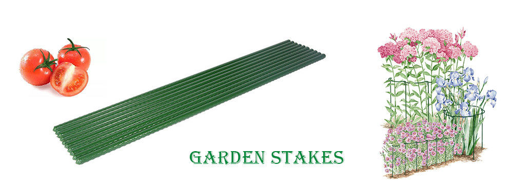 Garden Plant Support Sticks